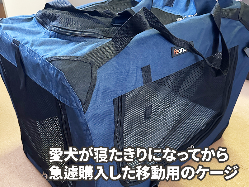 愛犬が病院に行く時に愛用した大きめのキャリーバック