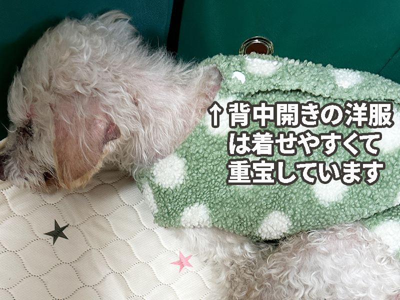 背中開きボタンの洋服
