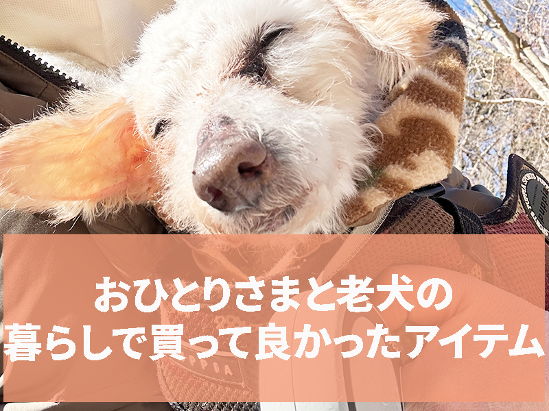 おひとりさまと老犬の暮らしで買って良かったアイテム